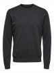 Berg Crew Neck Light Knit