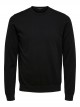 Berg Crew Neck Punto Fino