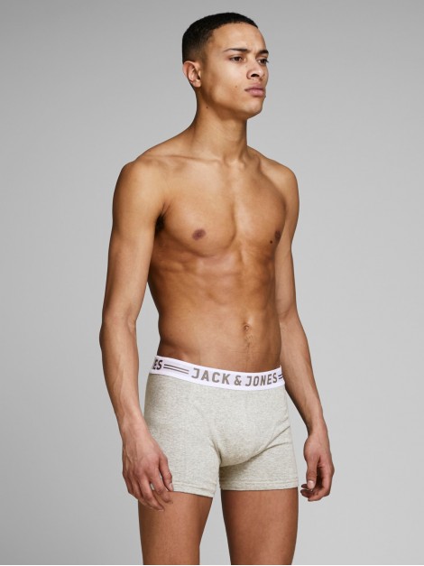 SENSE BOXER BÁSICO