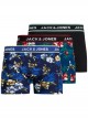FLOWER BOXER PACK DE 3