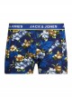 FLOWER BOXER PACK DE 3