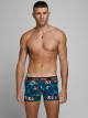 FLOWER BOXER PACK DE 3