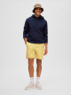 Homme Flex Shorts Chino