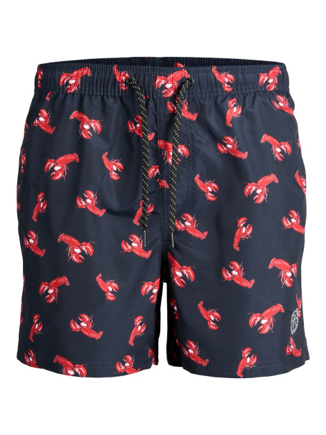 Fiji Swimshorts