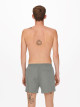 Ted Swimshort GW 1832