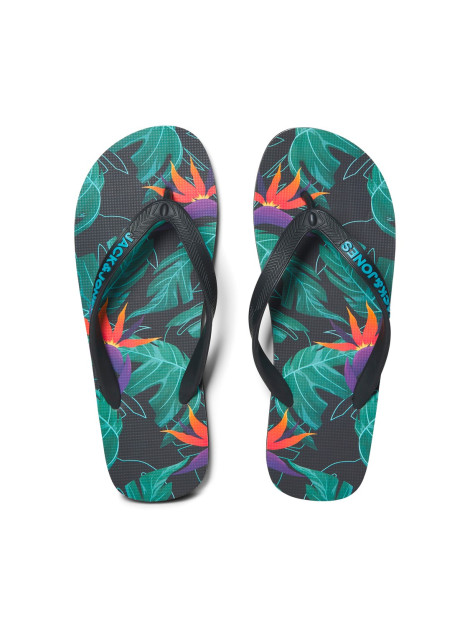 Palm Print Chanclas