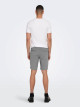 Mark 0209 Shorts