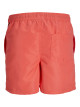 Fiji Swimshorts