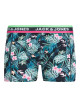 Miami Trunk
