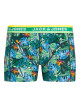 Miami Trunk
