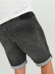 Rick Icon GE 612 Shorts