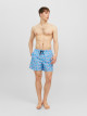 Fiji Swimshorts