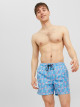 Fiji Swimshorts