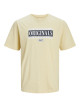 JACK & JONES T-shirt, JorCobin Tee Short Sleeves, Standard Fit