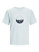 JACK & JONES T-shirt, JorCobin Tee Short Sleeves, Standard Fit