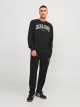 JACK & JONES Pants, JpstGordon jjSwift Sweat Pants