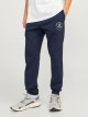 JACK & JONES Pants, JpstGordon jjSwift Sweat Pants