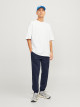 JACK & JONES Pants, JpstGordon jjSwift Sweat Pants