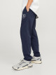 JACK & JONES Pants, JpstGordon jjSwift Sweat Pants