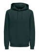 Ceres Hoodie Sweat