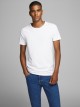 BASIC O-NECK CAMISETA SS
